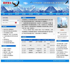 專業鑄就卓越 上海網站建設公司成功案例與信息技術咨詢價值